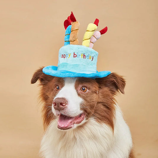 Pet Dog Hat for Birthday Party Adjustable Dog Hats Cats Dog Costumes Puppy Grooming Dress Up Hat Pet Supplies